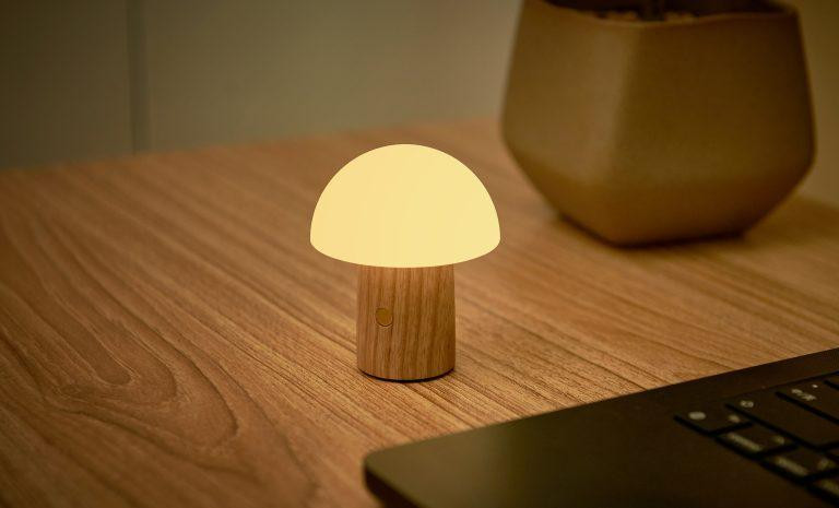 Світильник на акумуляторі Gingko Alice Mushroom Lamp Mini Білий попіл Київ - фото 7