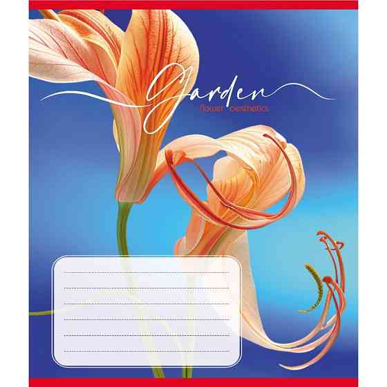 Тетрадь ученическая 