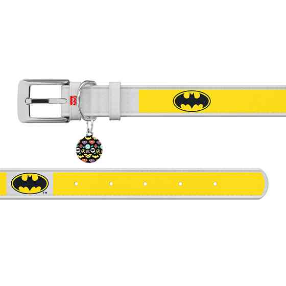 Нашийник для собак шкіряний WAUDOG Design з QR паспортом, малюнок "Бетмен2", XS, Ш 12 мм, Дов 2 Коломыя