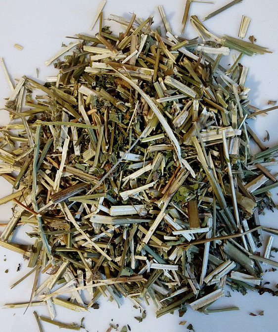 Лофант анисовый, 100г. MasterSEM Киев - изображение 1