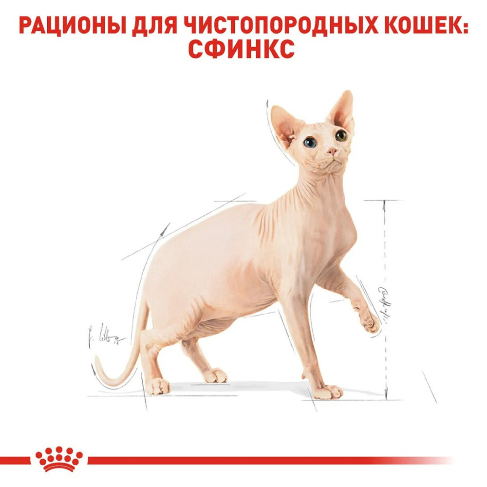 Royal Canin Sphynx Adult (Рояв Канін Сфінкс) сухий корм для котів породи сфінкс від 12 місяців 10 кілограмів. Запоріжжя - фото 5