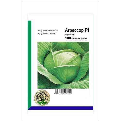 Семена капусты Агрессор F1 100 сем., Syngenta, Голландия Винница