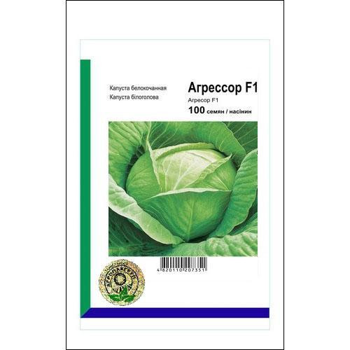 Насіння капусти Агресор F1 100 сем., Syngenta, Голандія Вінниця - фото 1