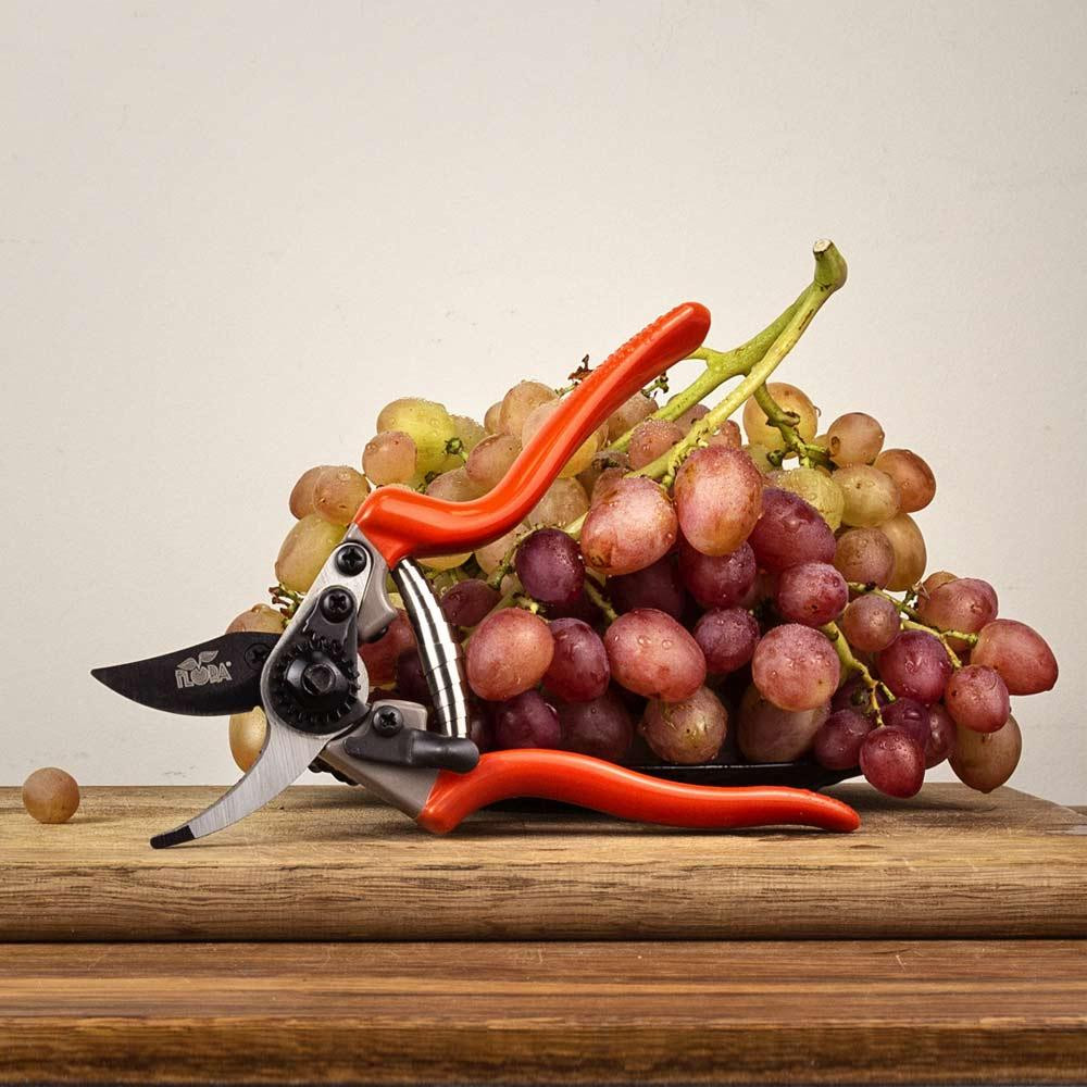 Секатор обводной 200мм нержавеющая сталь FLORA (5021404) Киев - изображение 7