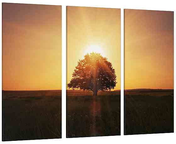 Модульна картина Дерево Світанок Art-39_XXL Київ