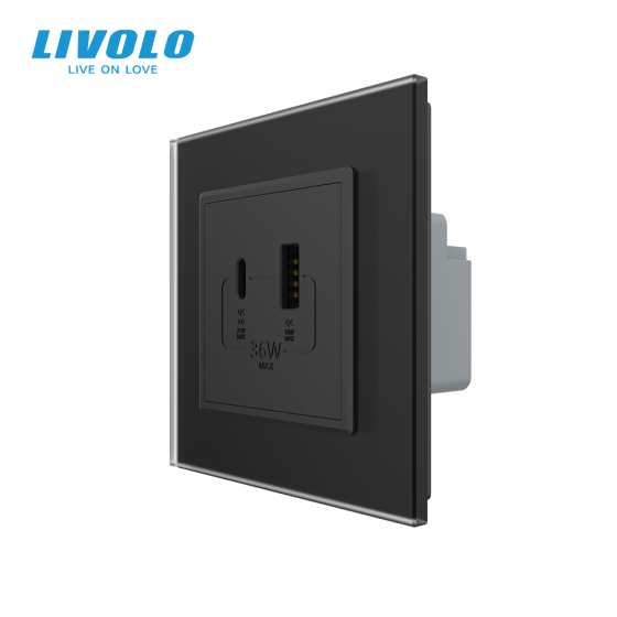 LIVOLO Розетка USB-A та USB-C з Power Delivery 36W LIVOLO чорна матова скло Коломия