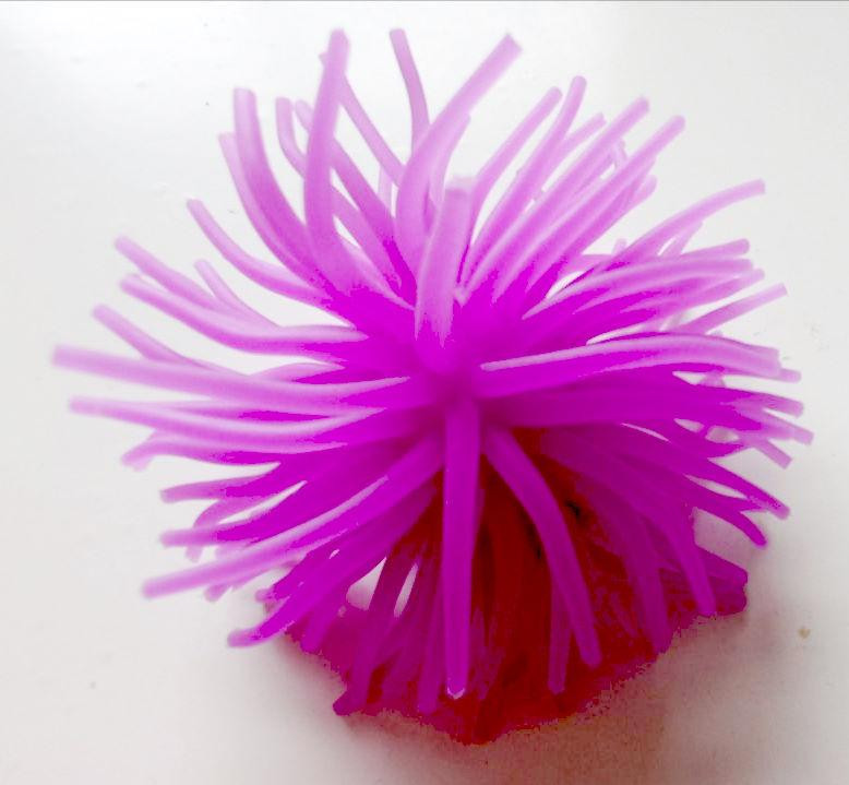 Яскравий декор в акваріум - Морський їжак. Київ - фото 1