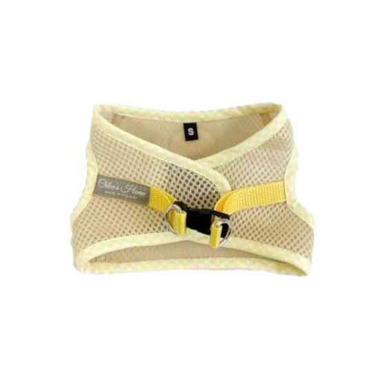 , XS Киев