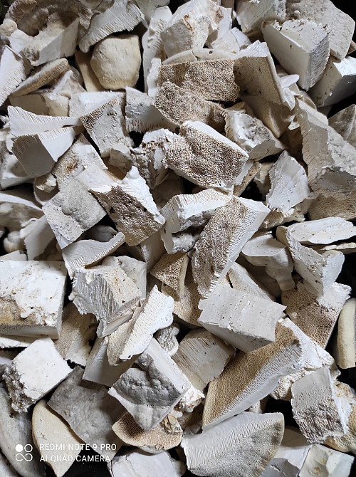 Гриб Траметес горбатий, 50 г master sem Київ - фото 1