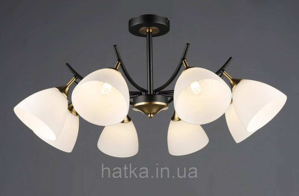 Потолочный светильник N6602/8 Киев - изображение 1