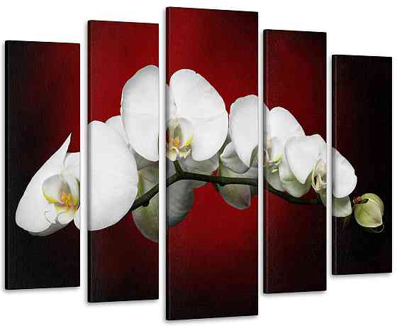 Модульная картина Белая орхидея Art-127_5 110x160 см Киев