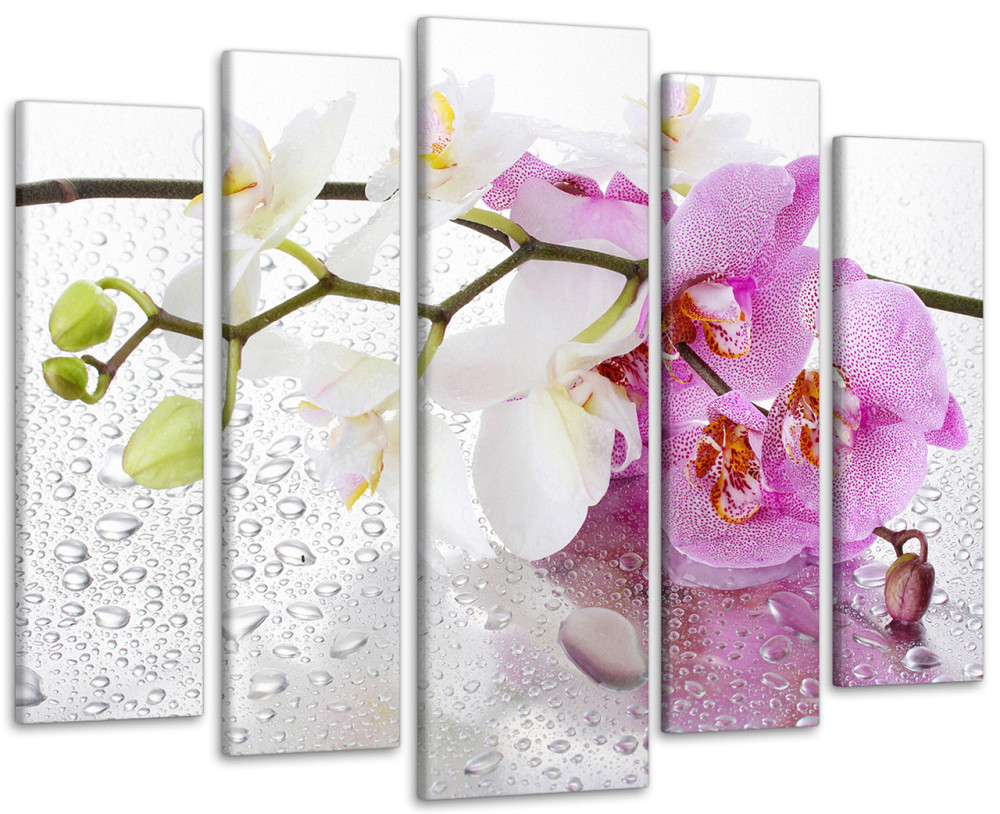 Модульна картина Орхідея Art-15_5 Київ - фото 1