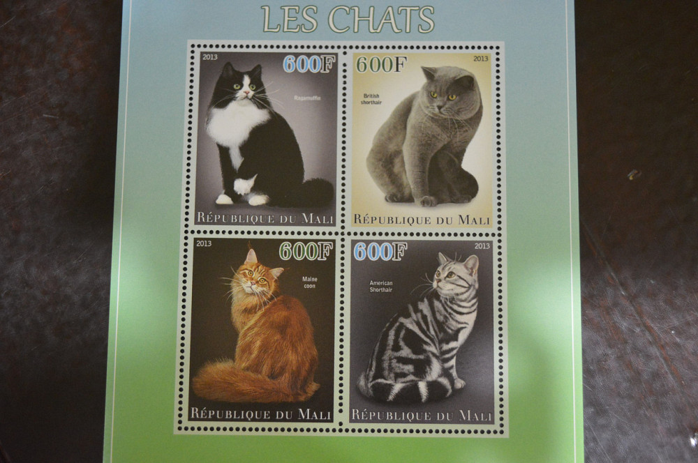 Мали. Марки. Фауна. Блок. 2013 год (В-3) Полтава - изображение 1