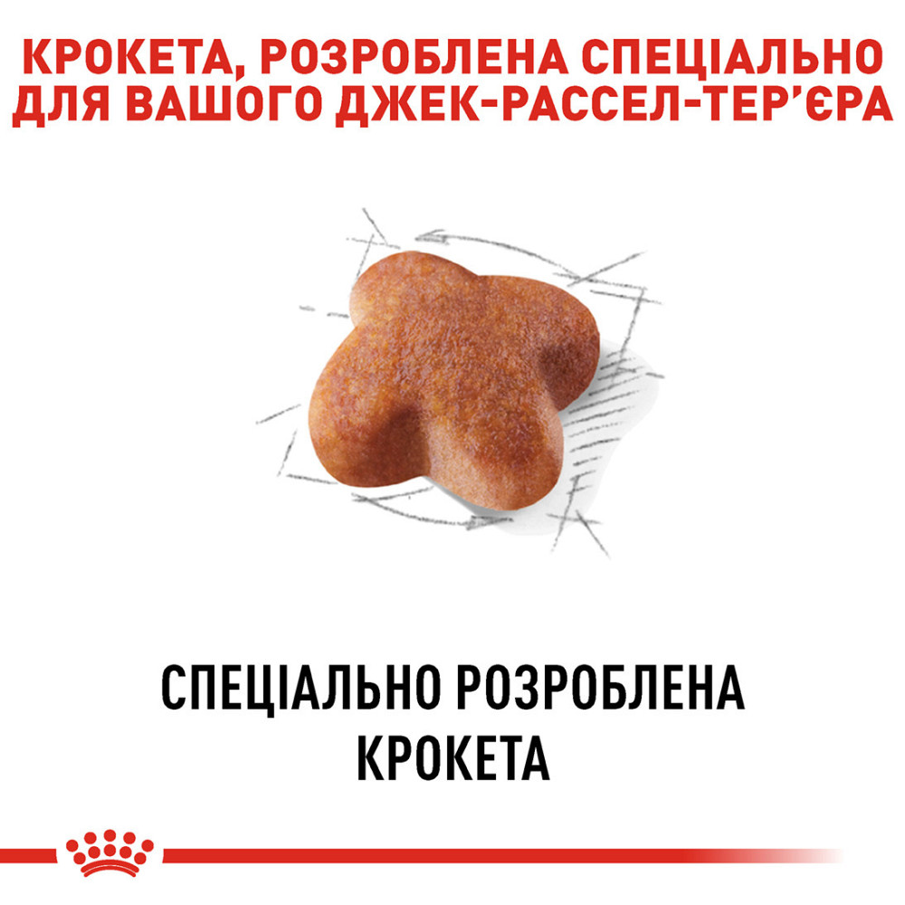 Сухий корм для дорослих собак породи Джек-Рассел-тер'єр ROYAL CANIN JACK RUSSEL ADULT 1.5 кг Київ - фото 4