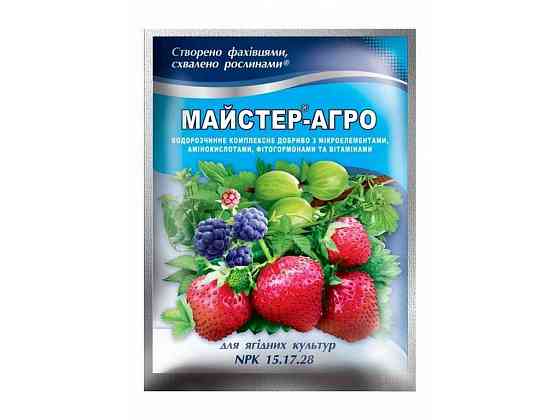 Водорозчинне сухе добриво для ягідних культур, 100г ТМ Майстер-Агро Solmir Київ