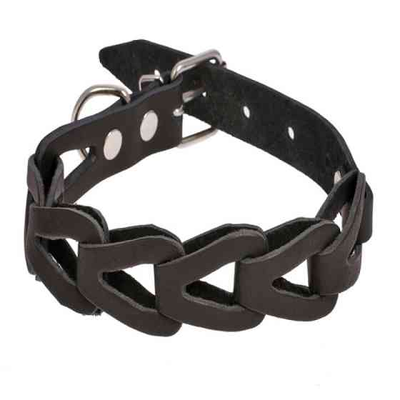 Ошейник 319 25мм "Классик" звеньевой Вінниця