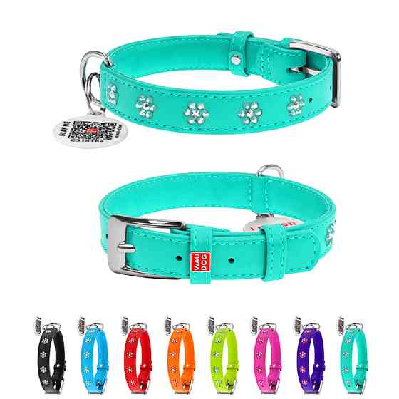 Нашийник для собак шкіряний WAUDOG Glamour з QR паспортом, з клейовими стразами "Квіти", Ш 20 м Коломыя