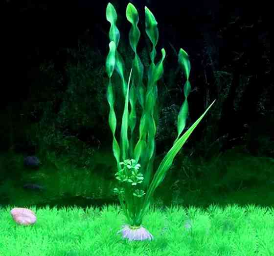 Штучні рослини для акваріума 30 см зелений Київ