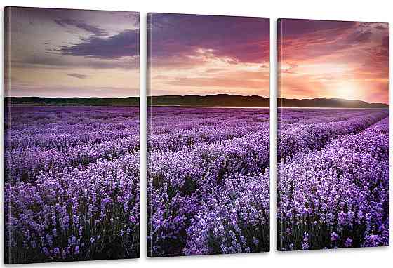 Модульна картина Полі Лаванда Аrt-185_3А Київ