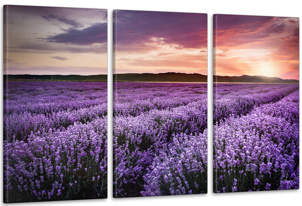 Модульная картина Поле Лаванда Аrt-185_3А 100x150 см Киев - изображение 1