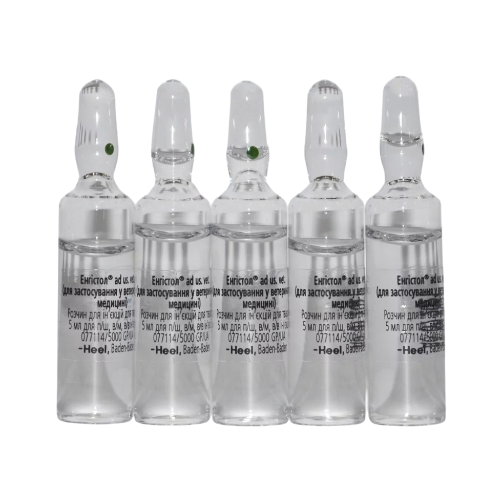 Енгістол Хеель блистер №5 ампул по 5мл (ветеринарний) Вінниця - фото 2