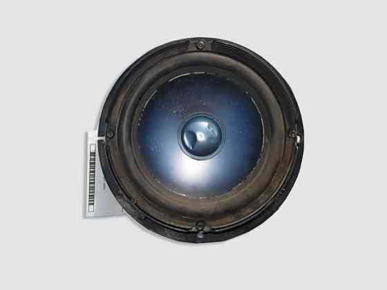 Mercedes-Benz  A2518200202 Аудіо динамік передніх дверей Harman/Kardon R-Class W251 Одесса