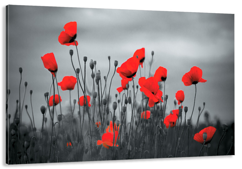 Картина полотно у вітальню / спальню  Поле Маків   MLP_164  ( 60х30см ) 80х160см Київ - фото 1