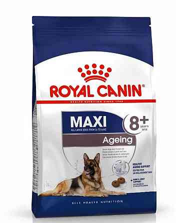 Royal Canin Maxi Ageing 8+ (Роял Канін Максі Ейджинг 8+) сухий корм для собак великих порід від 8 років Запоріжжя