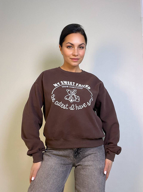 Свитшот женский A-N 25057 с рисунком мишкой впереди оверсайз средней длины комфорт one size, шоколад, one size Киев - изображение 19