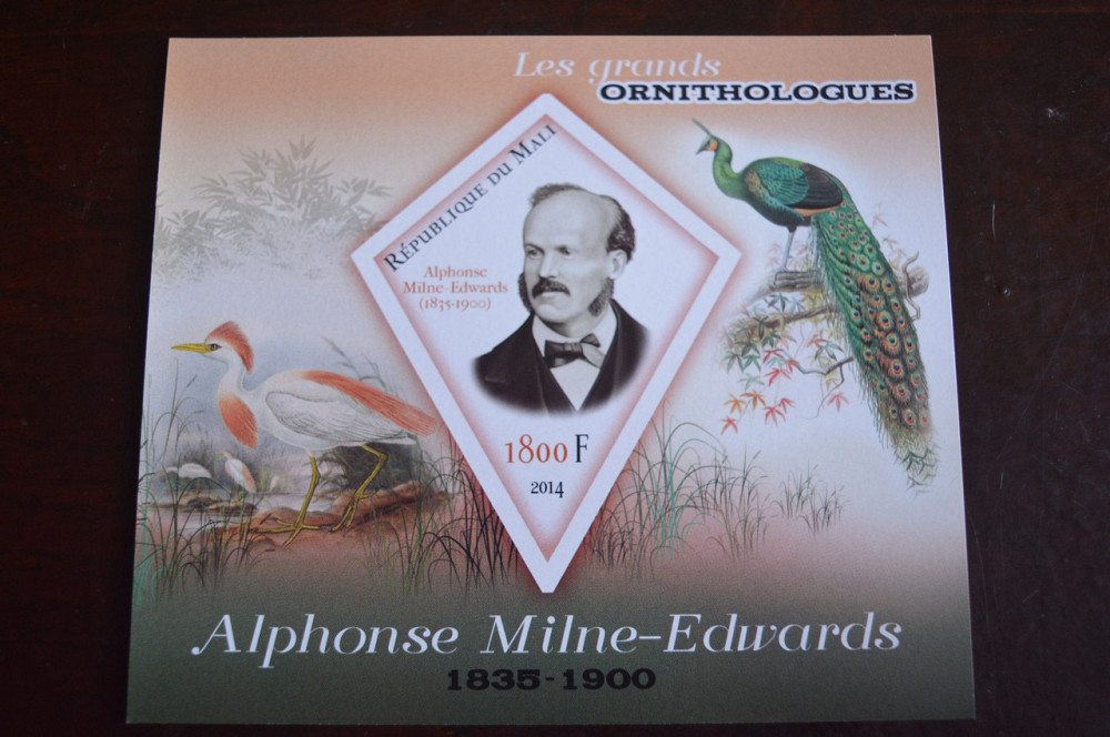 Марки. Фауна. Блок. 2013 рік (А-30) Полтава - фото 1