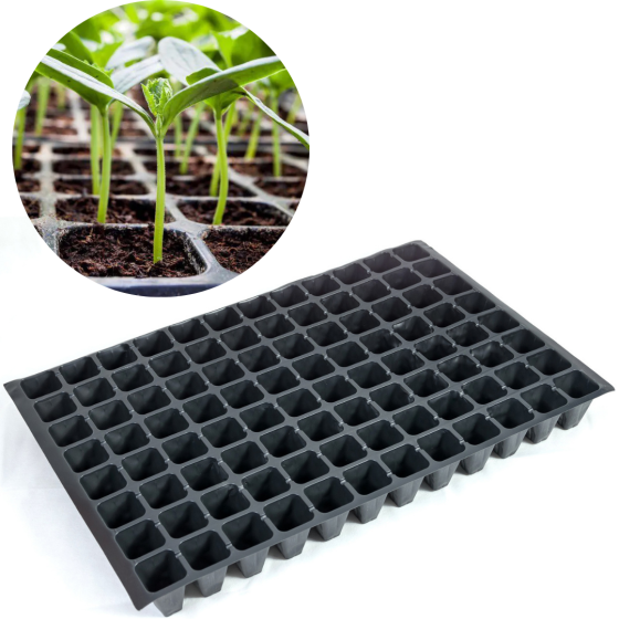 Касета для розсади 60*40 см 96 комірки Дніпро