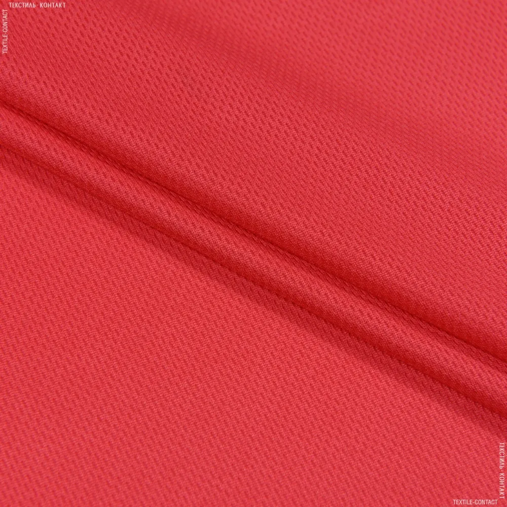 Шорты мужские Nike,лакоста Киев - изображение 2