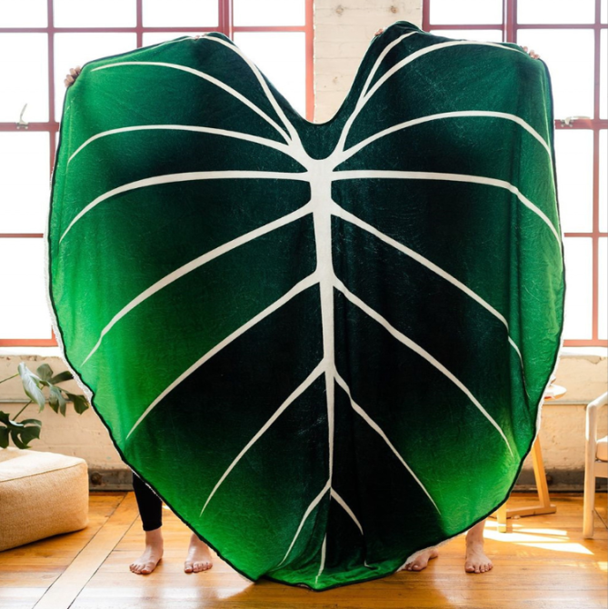 Плюшевый Плед-ЛИСТ 200 см, 3D Плед в виде зеленого листа, покрывало в виде огромного листочка Кременчуг - изображение 1