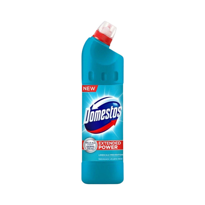 Универсальное чистящее средство Domestos Eco Свежесть леса 750 мл Виноградов - изображение 1