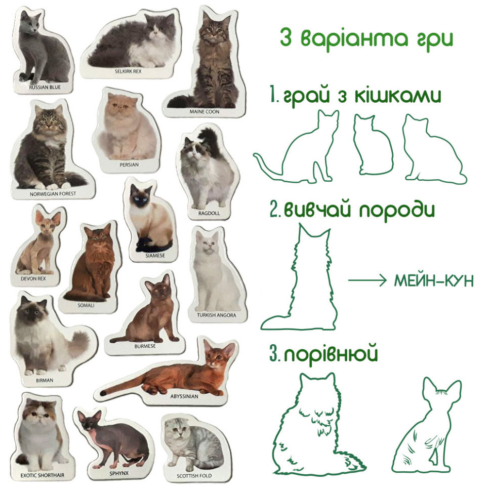 Набор магнитов Magdum 