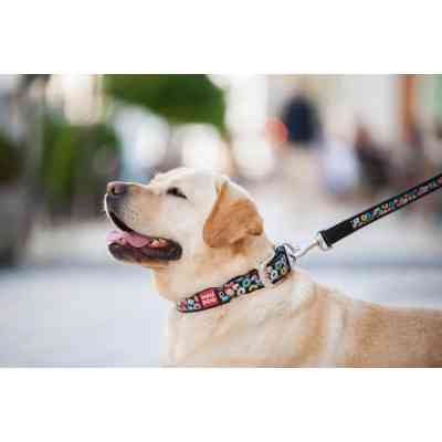 Ошейник для животных WAUDOG Design с QR паспортом "Пончики" Ш 25 мм Д 38-49 см черный (37131) Винница