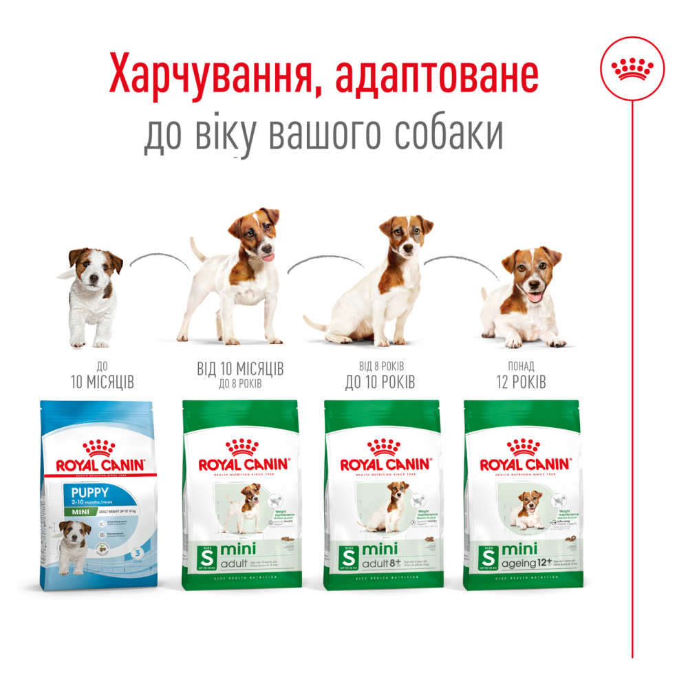 Корм для дорослих собак дрібних порід ROYAL CANIN MINI ADULT 8+(віком від 8 років) 0.8 кг Київ - фото 6