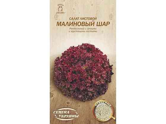 Салат листовий Малиновый Шар ОВ 1г (20 пачок) (рс) ТМ СЕМЕНА УКРАИНЫ Solmir Київ