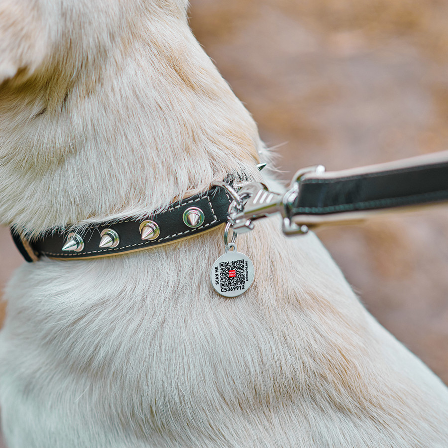 Нашийник для собак шкіряний WAUDOG Soft з QR паспортом, з шипами, Ш 35 мм, Дов 46-60 см чорний Коломия - фото 4