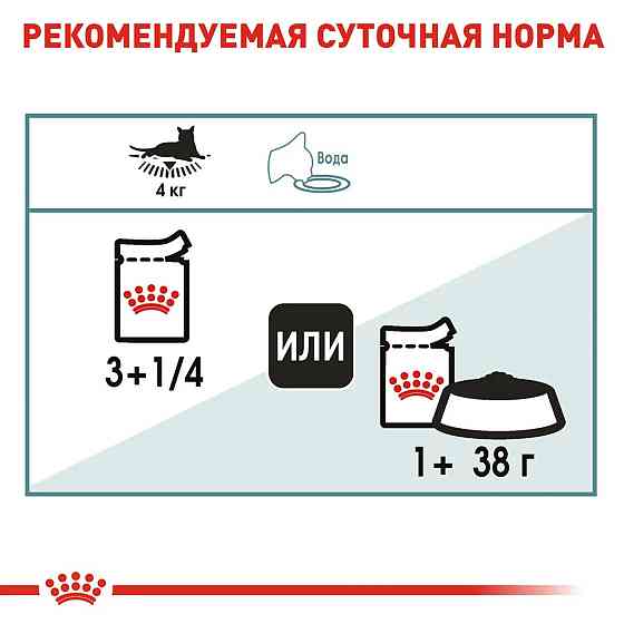 Royal Canin Hairball Care Gravy (Роял Канін Хейрбол Кер) вологий корм для кішок під час грудочок шерсті в шлунку 0.085 кг. х 12 шт. Запоріжжя