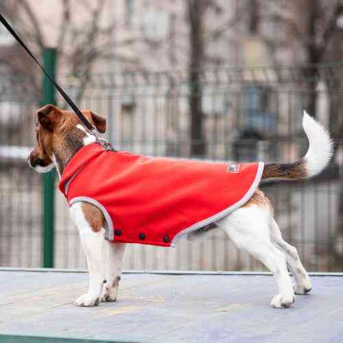 Жилет Pet Fashion Fleecy для собак красный/серый S Киев