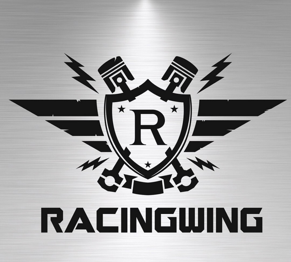 Виниловая наклейка на авто и любую поверхность в Любых размерах - RACINGWING Черновцы - изображение 1