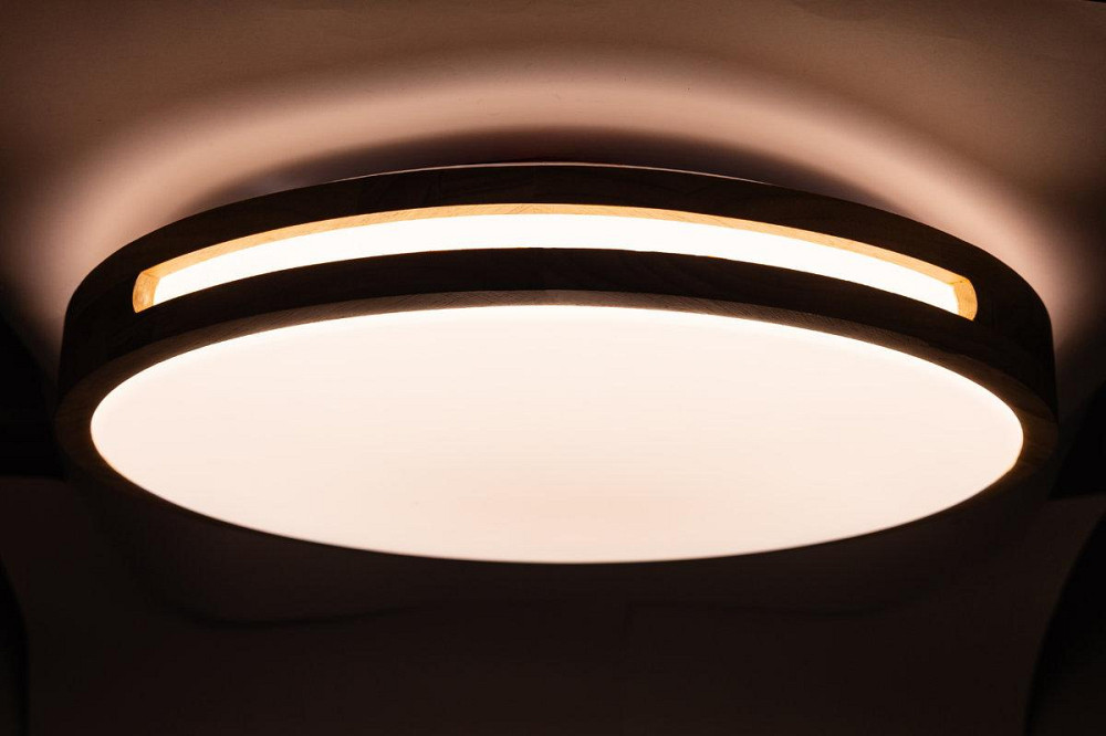 SLOT матовий 80W 490*65мм 3000К-6500К з ДК акація Днепр - изображение 5