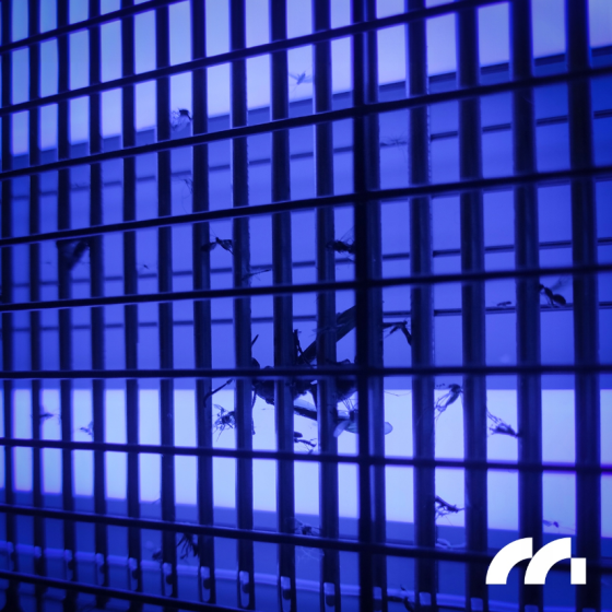 Лампа для знищувача комах 10Вт MalTec (Польща) Київ