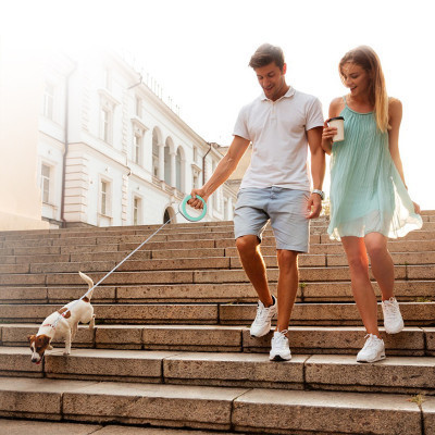 Поводок для собак WAUDOG R-leash светоотражающая лента XS-M до 40 кг 2.9 м салатовый (81275) Винница - изображение 4