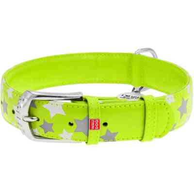 Ошейник для животных WAUDOG Glamour с QR паспортом "Звездочка" S Ш 20 мм Д 30-39 см салатовый (35865) Винница