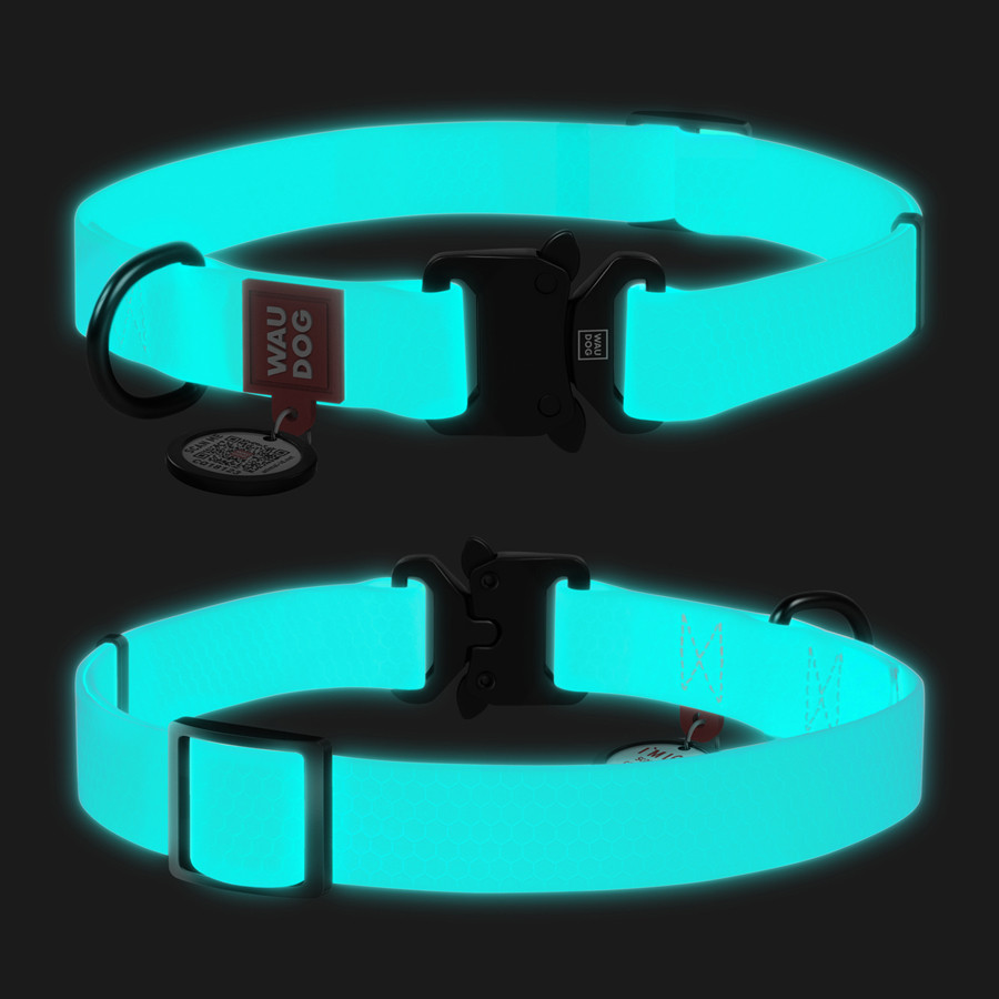 Нашийник для собак водостійкий WAUDOG Waterproof c QR паспортом, світонакоплювальний, металічна Коломыя - изображение 1
