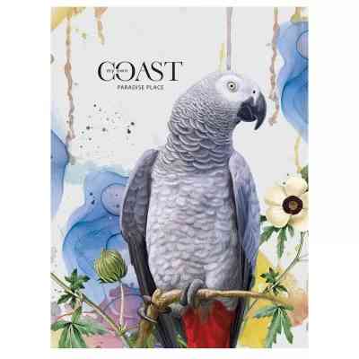 Зошит Школярик А5 Student клітинка 80 аркушів (A5-080-5084K) Вінниця