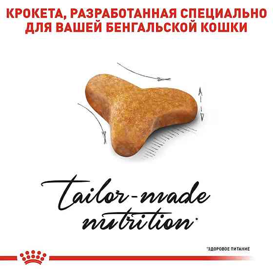 Роуал Canin Bengal Adult (Рояв Канін Бенгал) сухий корм для котів бенгальська від 12 місяців 2 кг. Запоріжжя