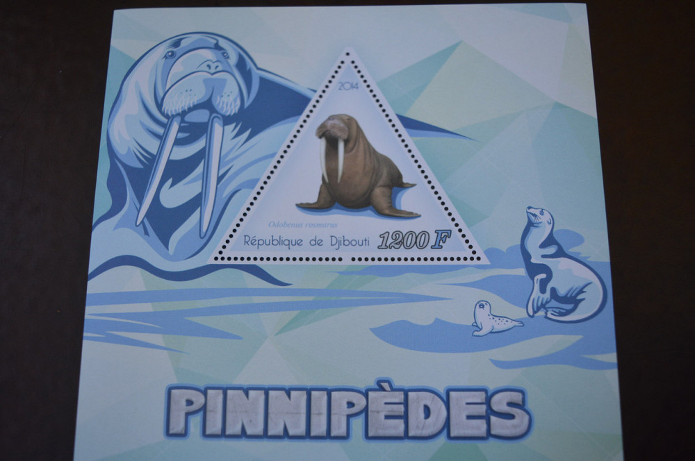 Джибуті. Марки. Фауна. Блок. 2013 рік (А-22) Полтава - фото 1